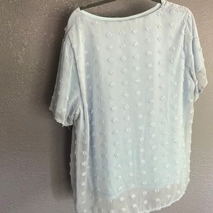 Swiss Dot light blue lined blouse